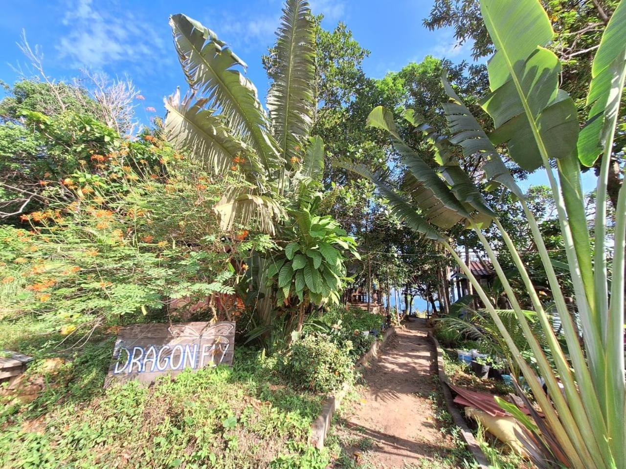 Dragonfly Guesthouse Koh Rong Sanloem Εξωτερικό φωτογραφία