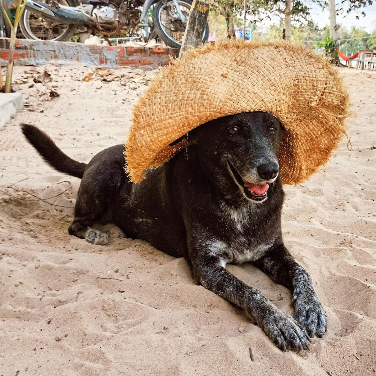 Dragonfly Guesthouse Koh Rong Sanloem Εξωτερικό φωτογραφία