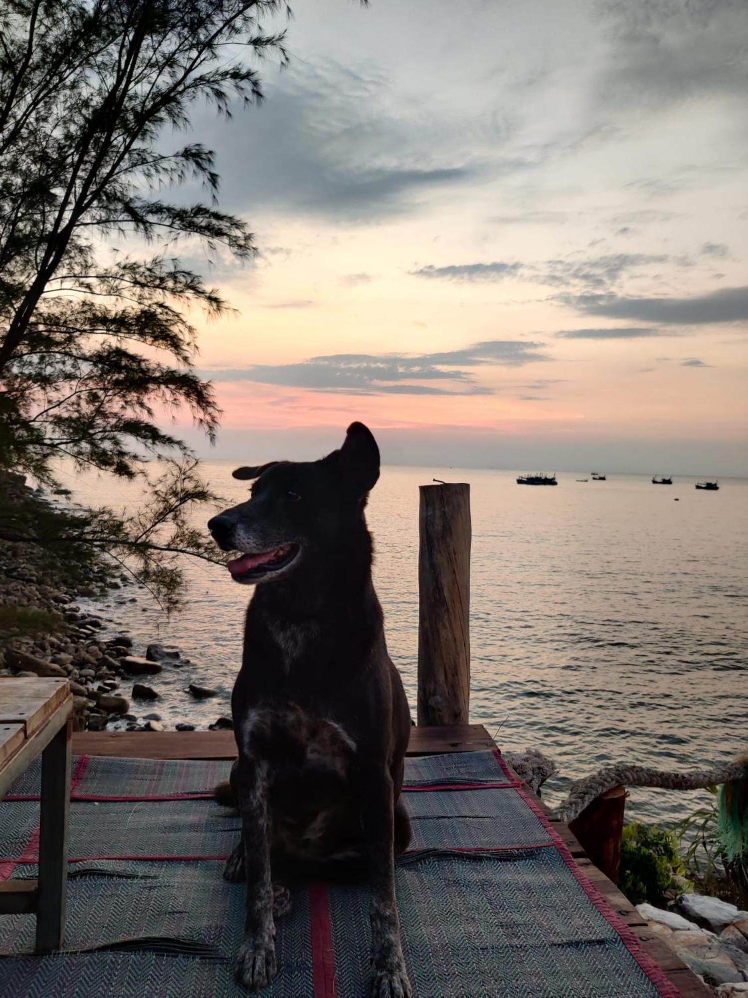 Dragonfly Guesthouse Koh Rong Sanloem Εξωτερικό φωτογραφία